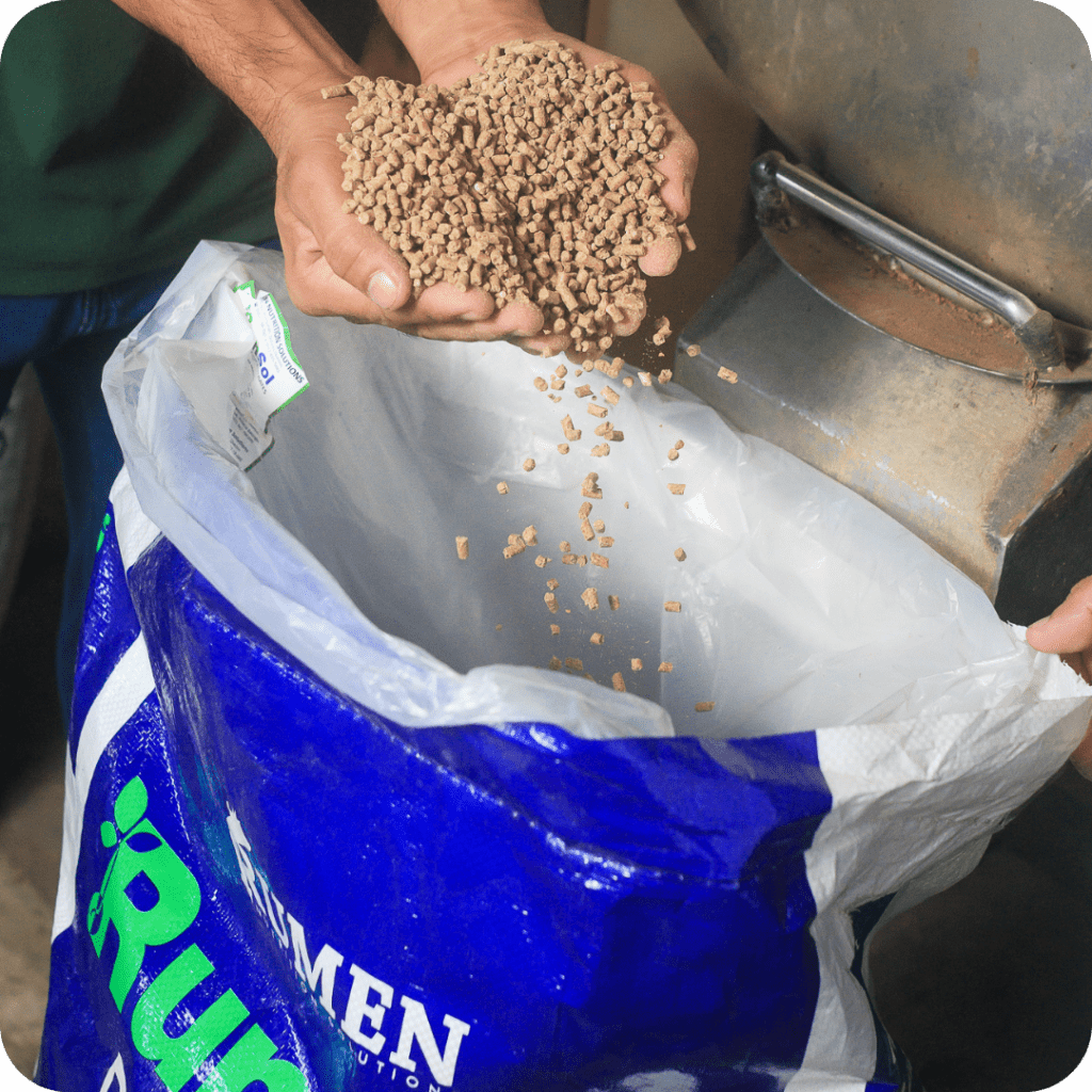 Rumen Nutrition Solutions - Quality Feeds