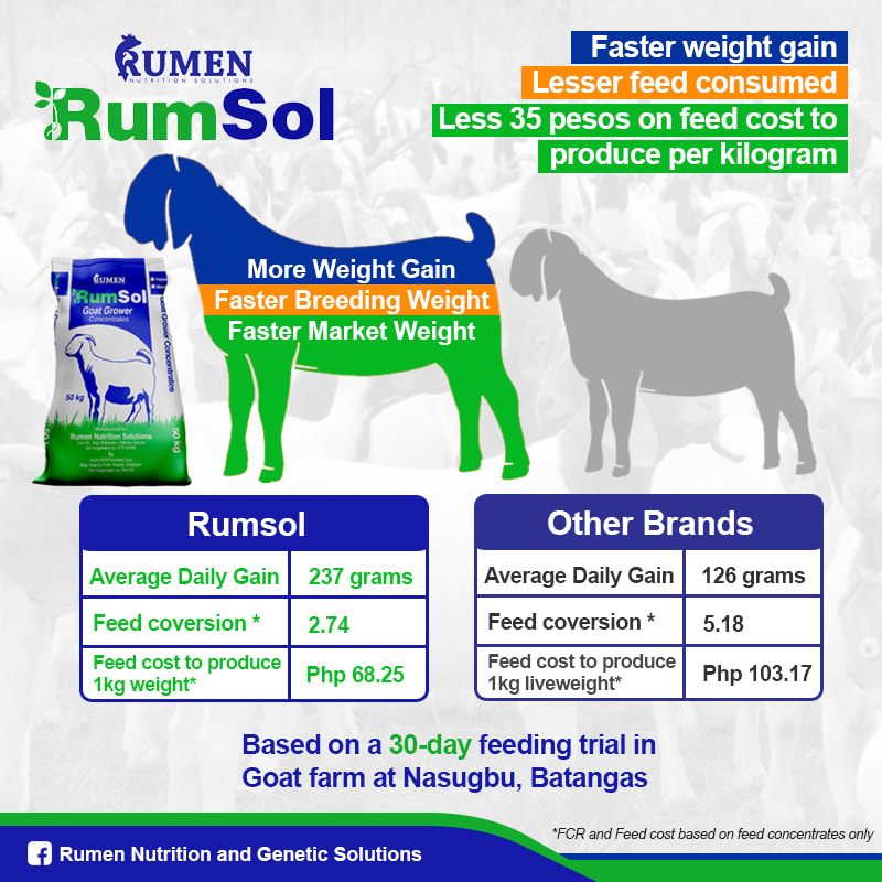 Rumen Nutrition Solutions Facts
